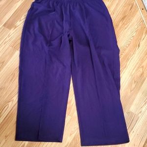 NWOT C.D. Daniels pull on polyester/rayon purple short pants.